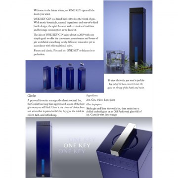 One Key Gin Info